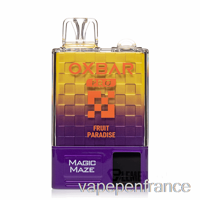 Oxbar Magic Maze Pro 10000 Stylo Vape Jetable Fruit Paradis